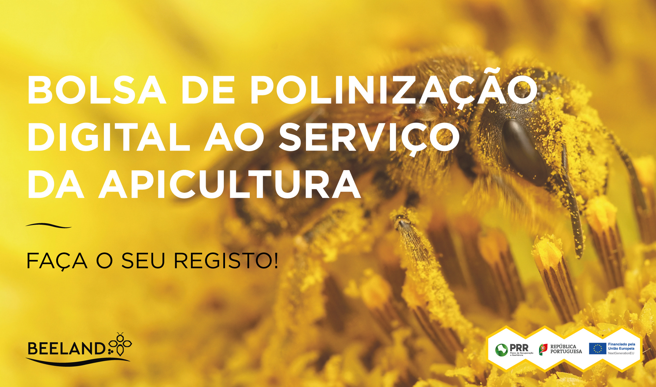 banner bolsa apícola